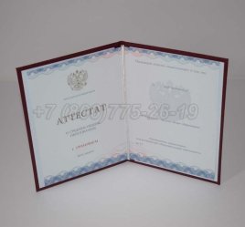 Аттестат За 11 Класс 2023г Золото ГОЗНАК в Махачкале
